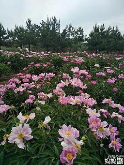 生病了难受的心情说说