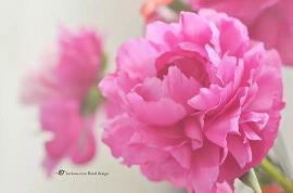 表达心情复杂的句子 开端的时侯，我们就晓得，总会有闭幕