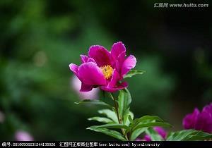 早安正能量说说简短(精选70句)