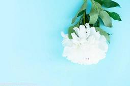 适合发朋友圈的笑话短句子24句