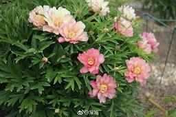 早安短句正能量 早安心语简单一句话汇总73句