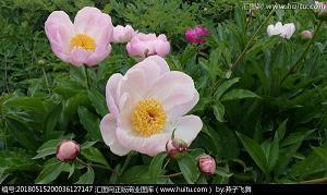 教师节祝福语贺词大全 教师节的祝福语句简单