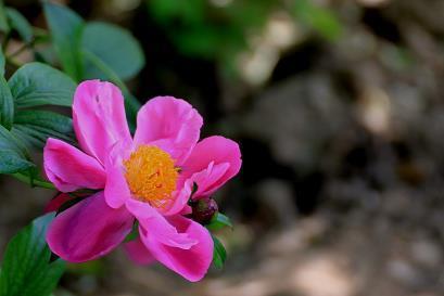 心情突然一刻心酸的句子发朋友圈汇总44句