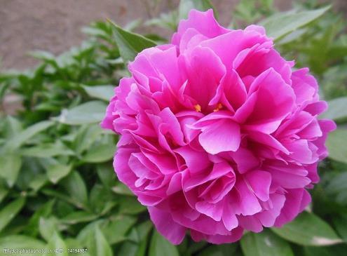 保持一颗平常心的说说 平常心对待一切的句子38句