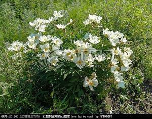 秋天景色的句子短句唯美精选(精选29句)