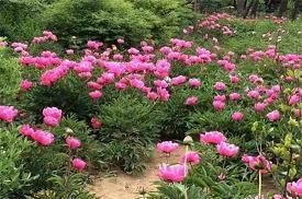 有关未来的优美句子