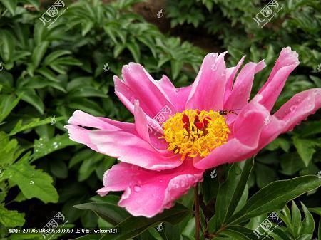 适合白露节气的朋友圈文案 白露的文案短句(精选17句)