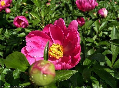 冬日暖阳 时光静好的唯美句子