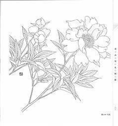 简短一句晚安语录 晚安问候语正能量简短合集80句