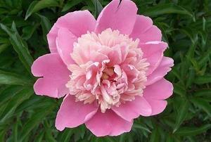 早安心语励志晨语推荐37句