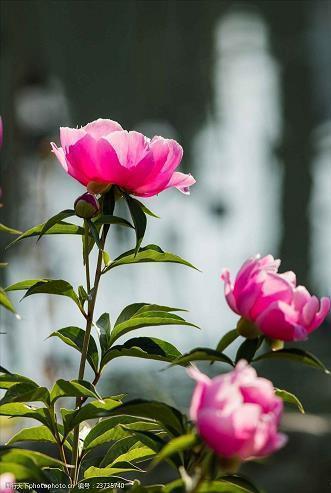 感谢能够遇见你的句子