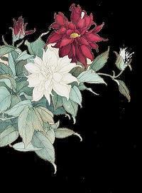 最经典幽默喝酒顺口溜 喝酒的幽默句子汇总50句