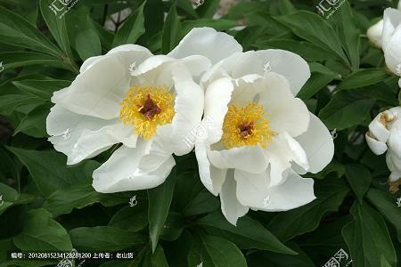 适合夏天晚上发的文案句子(精选32句)