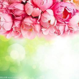 早晨奋斗励志句子(18句)