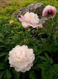 简单快乐的心情说说 简单快乐幸福的说说大全38句