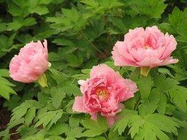 简短低调秀恩爱句子 最特别的晒幸福的说说98句