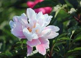 现实短句 写给心累的自己