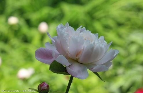 跟喜欢的女生写肉麻的句子35句