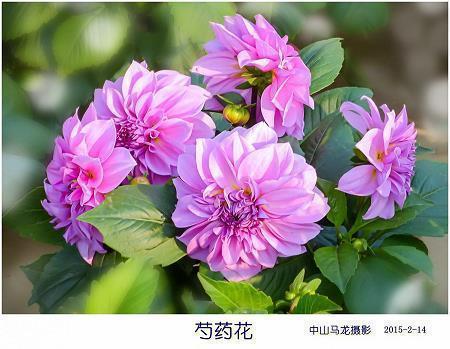 最火的中考发朋友圈怎么写汇总82句