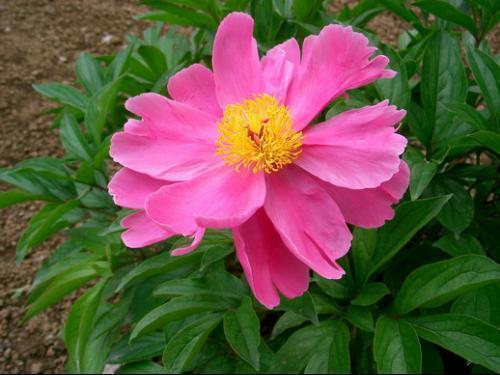 朋友圈励志语录简单的句子汇总38句