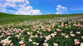 春节微信心情文案说说2021年