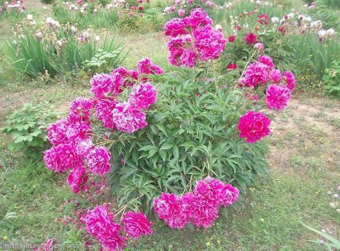 让女朋友感动流泪的话句子摘抄大全 关于女朋友,感动精简语录29句