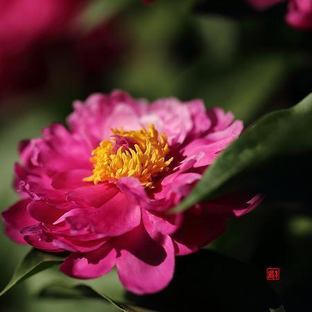 感恩父亲节的句子 父亲节的说说超感动精选51句