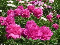 晚安经典简短一句话 晚安正能量朋友圈简短精选65句