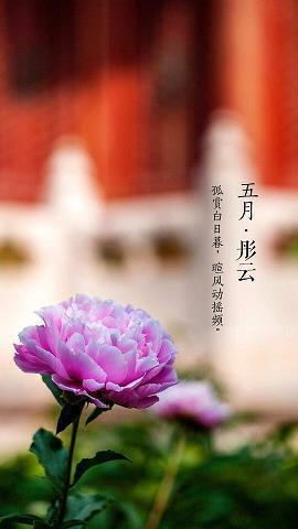 工作中有深度有品味的句子