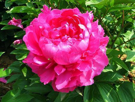 睡前发个幽默的说说33句