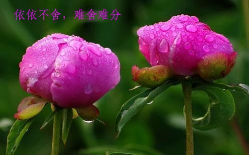 关于长大的句子伤感短句