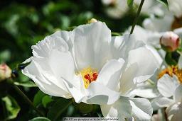 高情商的撩妹对话 撩妹子的情话套路合集80句