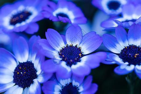 朋友圈正能量晚安励志语 晚安语录正能量的句子汇编77句