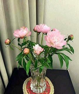 珍惜当下的优美句子 愿你学会珍惜，让人生快乐自在