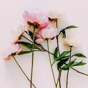 不开心多吃点美食的句子