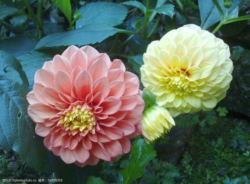 马云经典语录大全