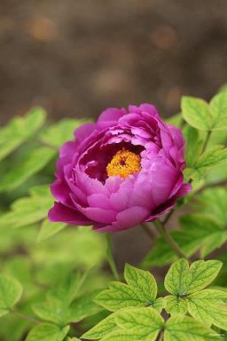 男人痛到心碎的句子