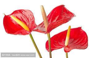 想谈恋爱的搞笑文案(精选29句)