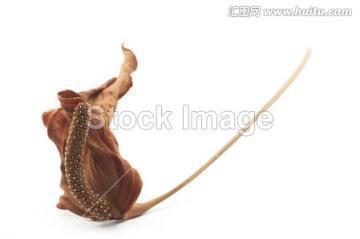 经典的生意对联大全集九字七字五字 关于生意红火的对联