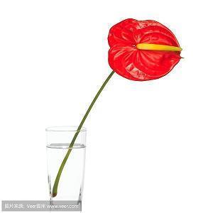 有趣的文案句子 沙雕又可爱的朋友圈文案