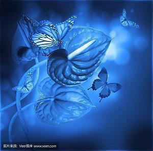 莎士比亚的爱情句子