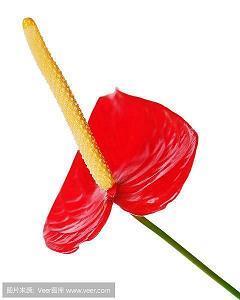 早安励志句子 2021年最火的早安句子汇编62句