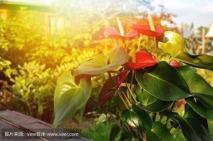 世界上最简单最简短的句子，句句优美！精选61句