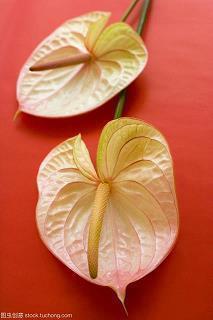 心情难过伤感的卑微的句子汇编30句