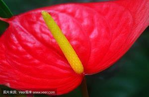 描写老师的优美语句47句