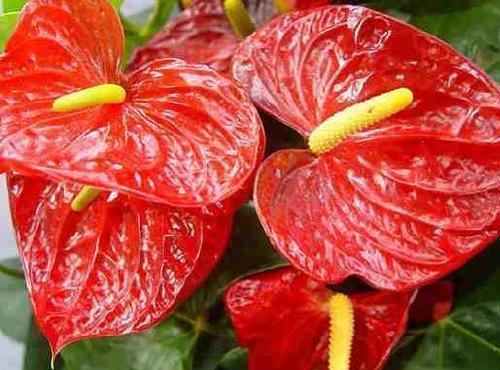 感叹怀念童年的短句