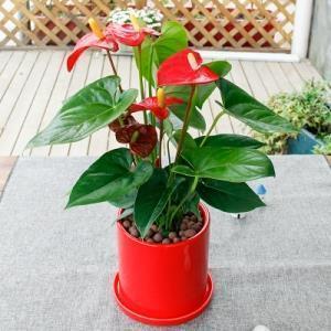 简短独特精选 秋分祝福语(精选32句)