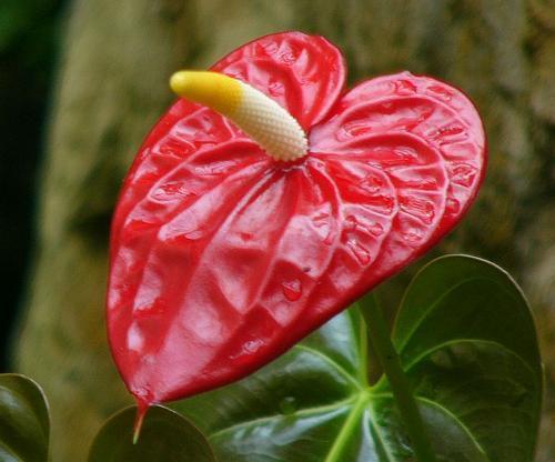 早上发朋友圈的句子正能量(精选85句)