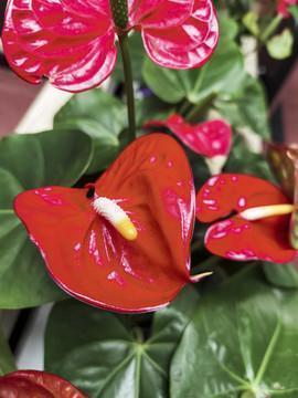 痛到心碎的英语句子