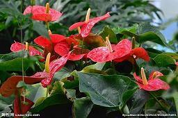 描述雨水节气的唯美创意文案